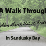 Sheldon Marsh Nature Preserve