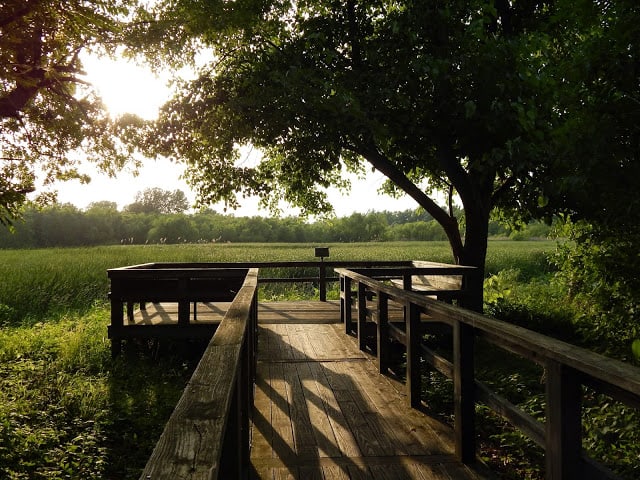 Sheldon Marsh Nature Preserve boardwalk