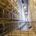 Ohio State Reformatory cell bars