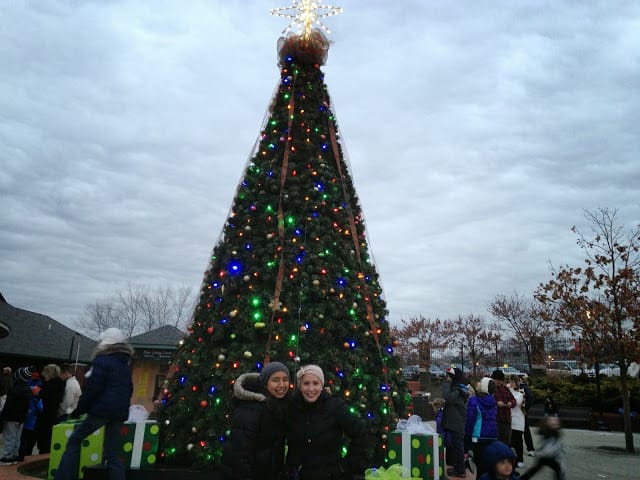 Kennywood Holiday Lights  giant Christmas tree