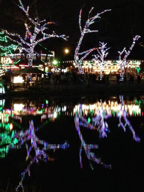 Kennywood Holiday Lights  Christmas lights reflection