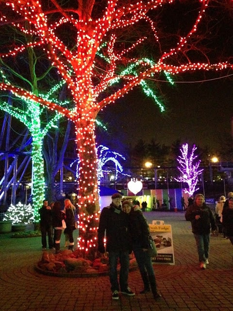 Kennywood Holiday Lights  family photo