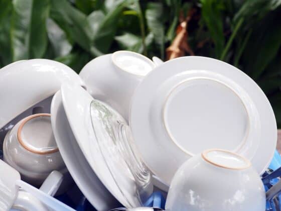 Unusual New Year's Traditions - denmark broken plates on doorstrp