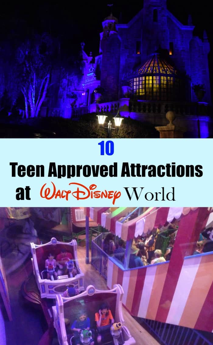10 teen Approved attractions at Walt Disney World
