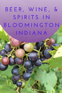where to drink in Bloomington, INdiana