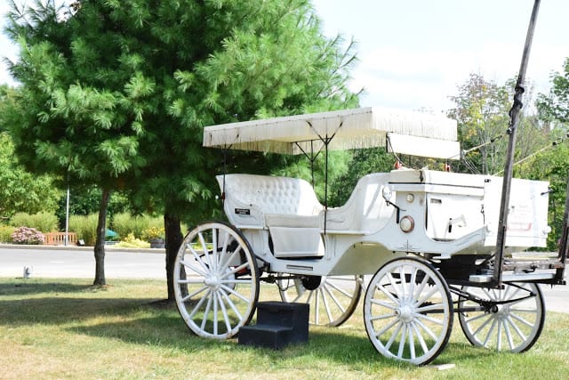 punderson manor carriage