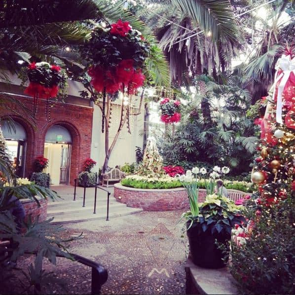 phipps conservatory in winter