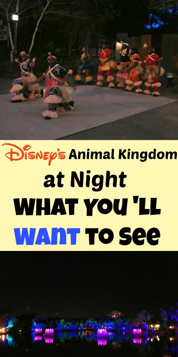 Animal Kingdom at night Pinterest