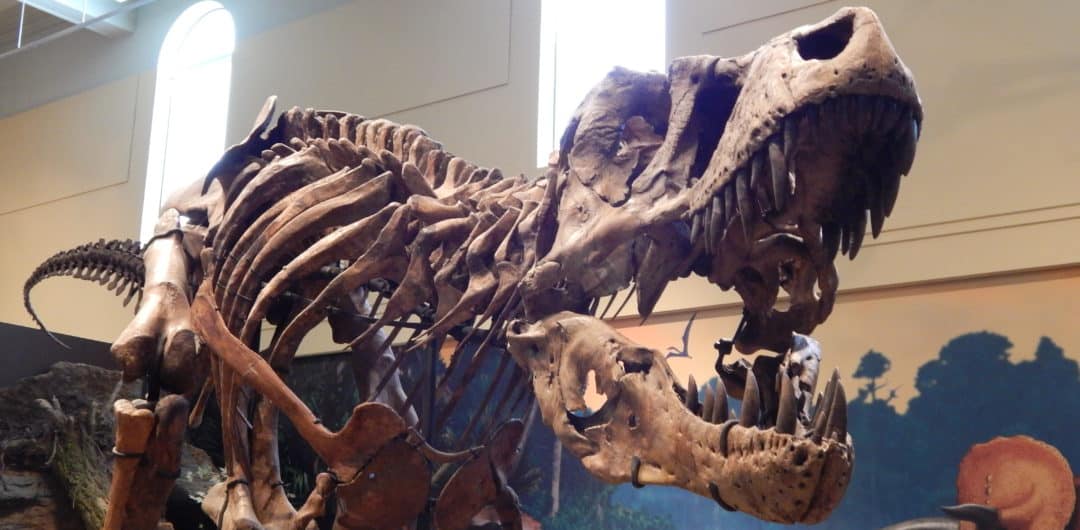 Carnegie Museum of Natural History Dinosaur Hall