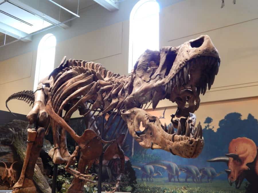 Carnegie Museum of Natural History Dinosaur Hall