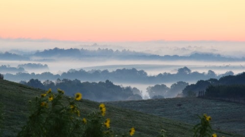 Places you won't believe exist in Ohio The Wilds Off the beaten path Ohio