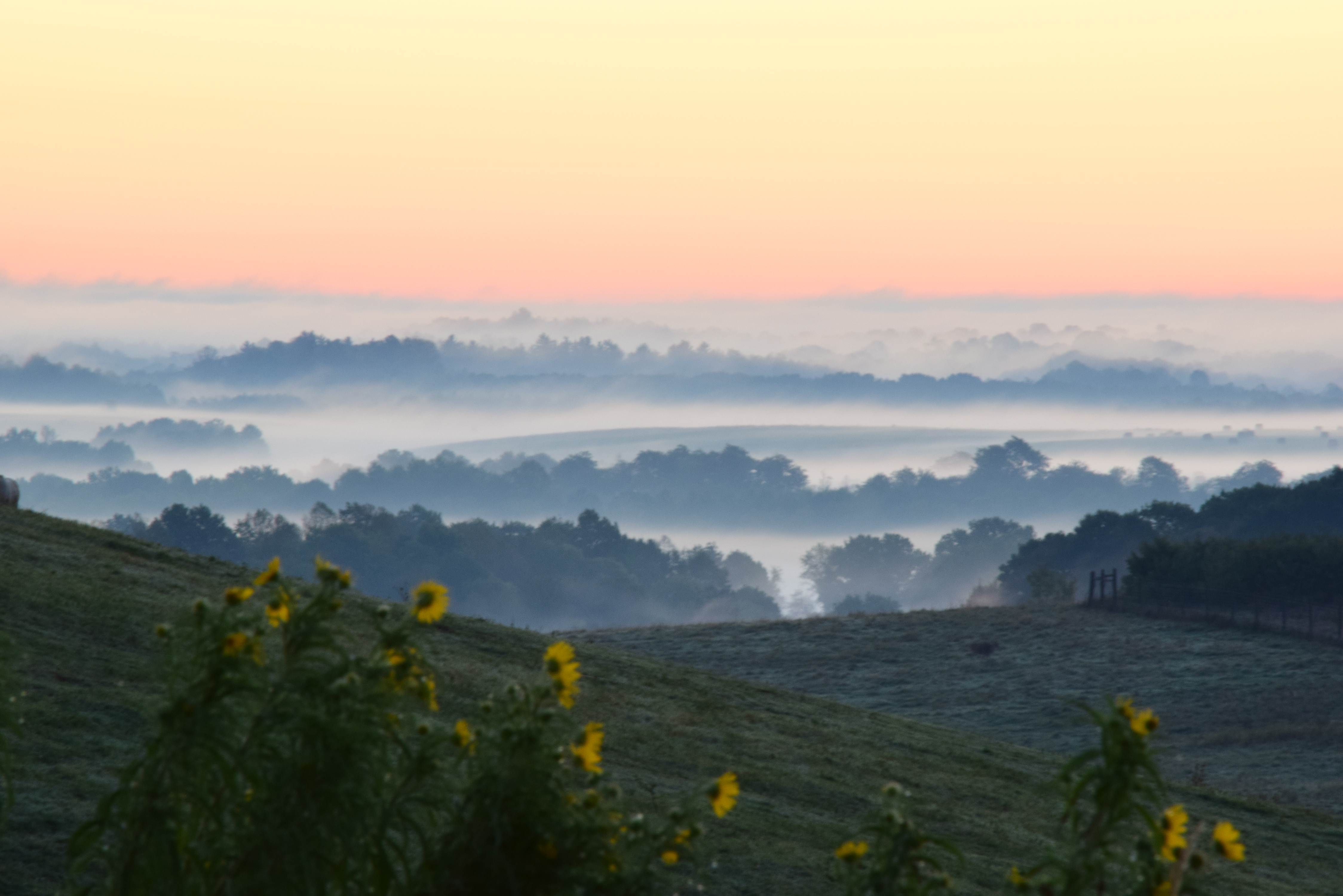 Places you won't believe exist in Ohio - The wilds Ohio