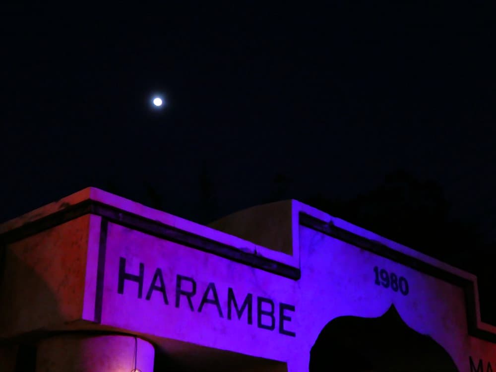 Harambe Wild Life Party