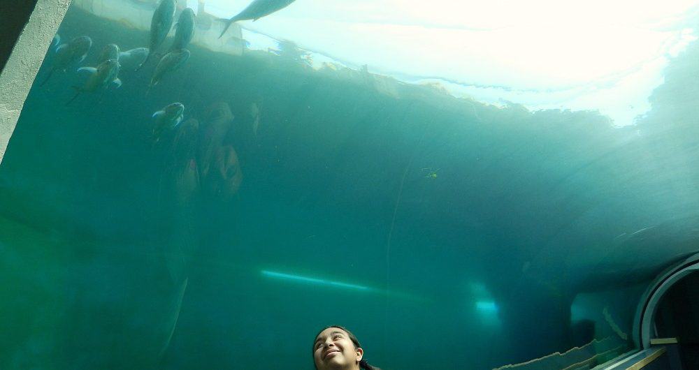 Pittsburgh Zoo