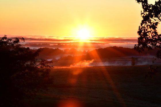 Places you won't believe exist in Ohio - Sunrise at The Wilds Nomad Ridge