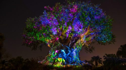 Tree of Life Awakens Disney Parks Media