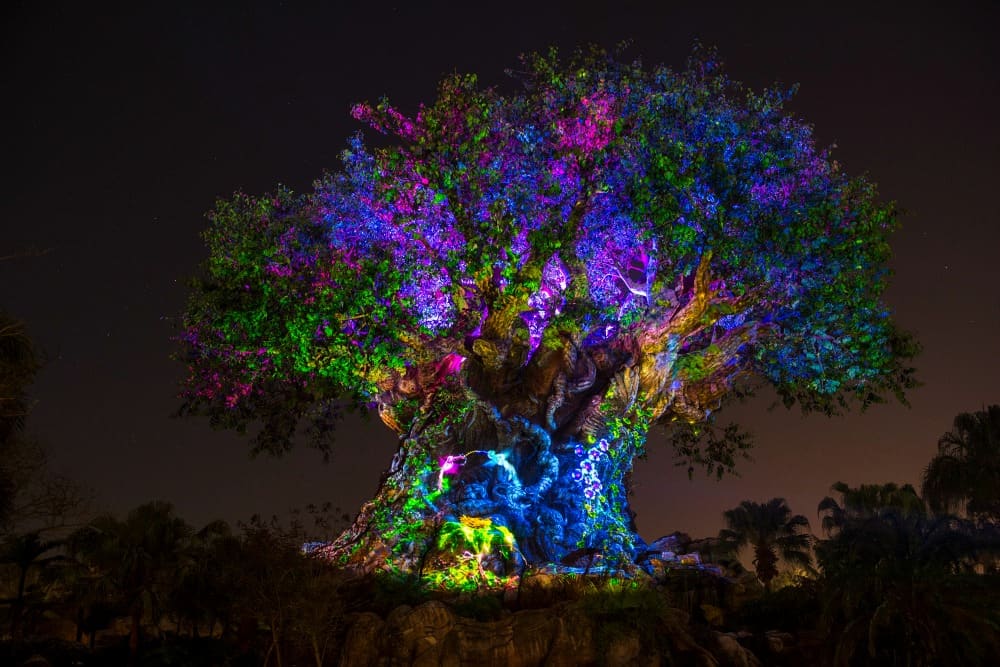 Disney World Virtual Tour 2020 Tree of Life