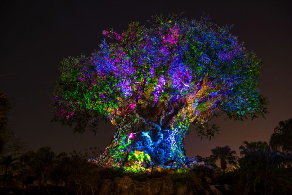 Tree of Life Awakens Disney Parks Media