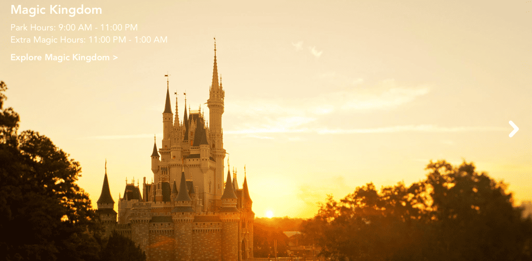 My Disney Experience App