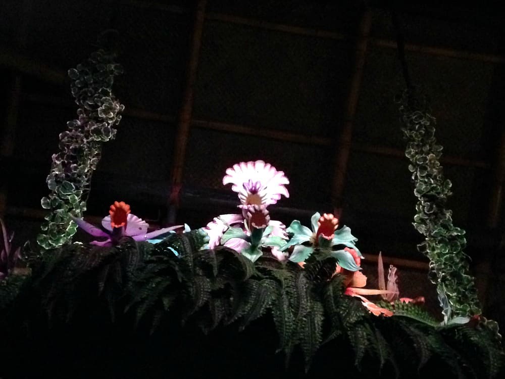 Tiki Room flowers