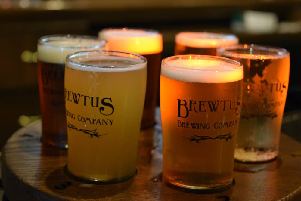 Brewtus Brewery Beer Flight
