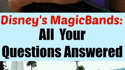 Disney's MagicBand questions answered