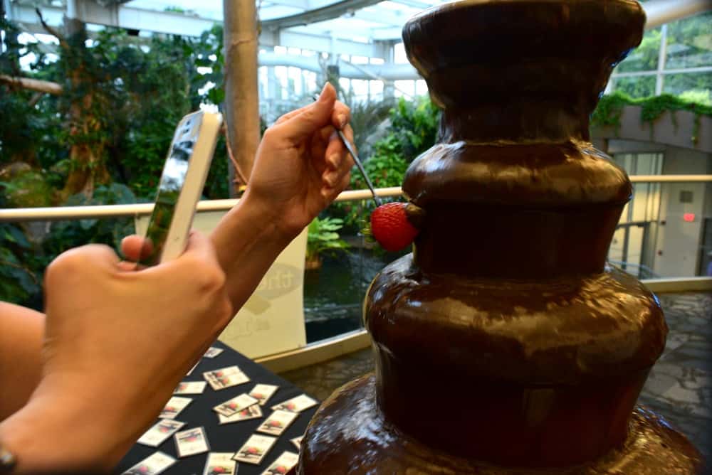 Pittsburgh Zoo Summer Safari Melting Pot Chocolate Fountain