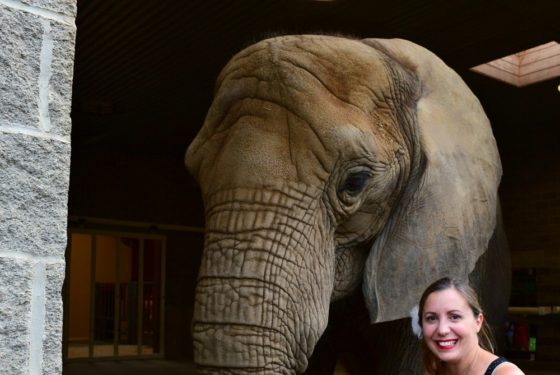 Pittsburgh Zoo Summer Safari Tasha Elephant
