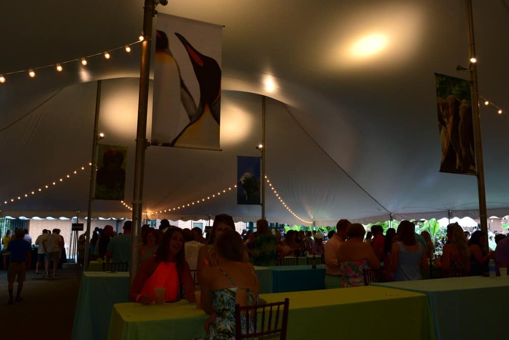 Pittsburgh Zoo Summer Safari VIP Tent