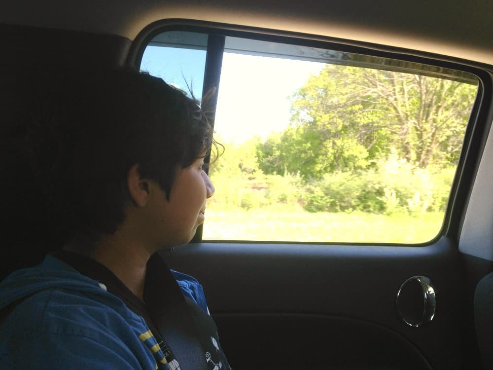 Road trip back seat