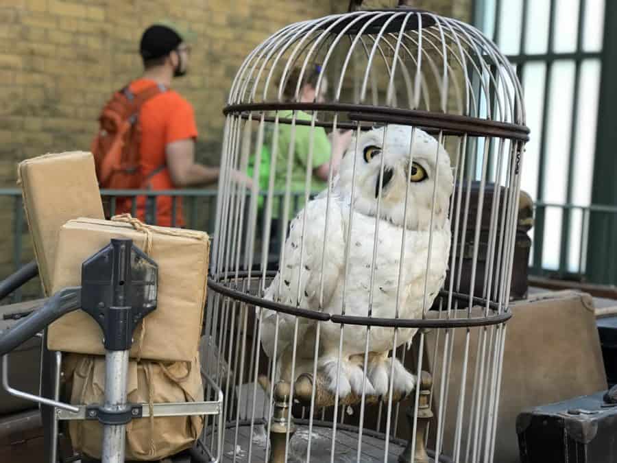 best things to do at Wizarding World of Harry Potter: King's Cross Station Platform 9 3/4