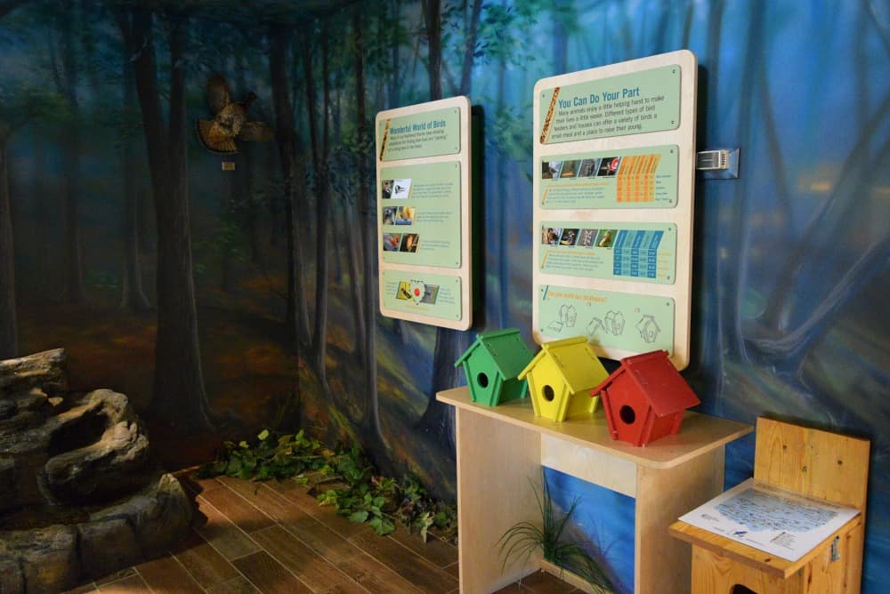 Burr Oak Lodge Kids discovery area