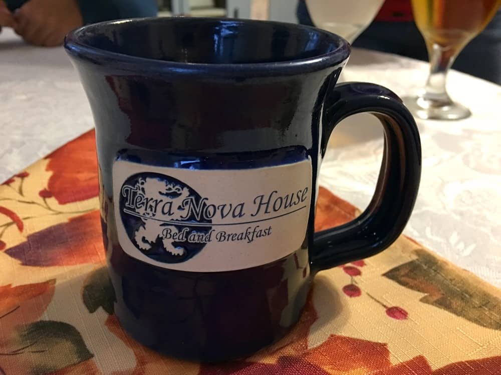 Terra Nova House coffee mug