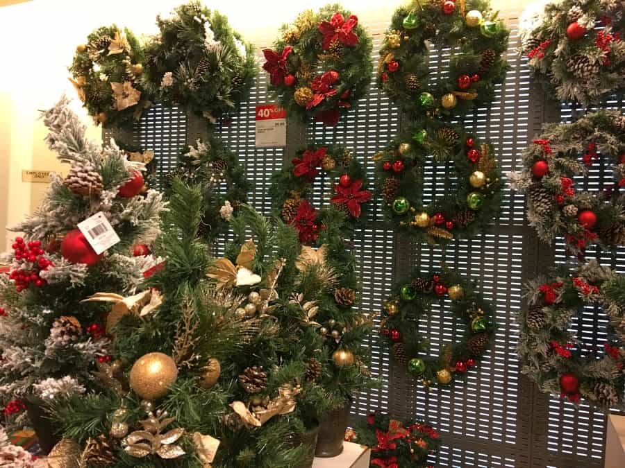Boscov's Tree in a Pot