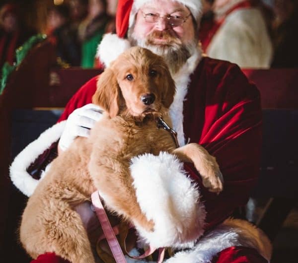 German Village Columbus Santa puppy