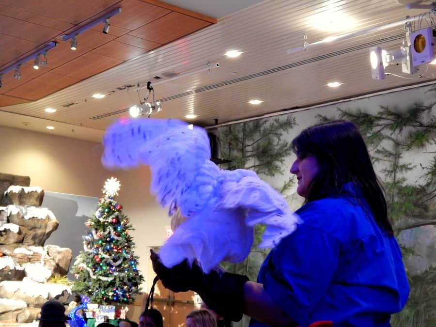 National Aviary Wings in Winter