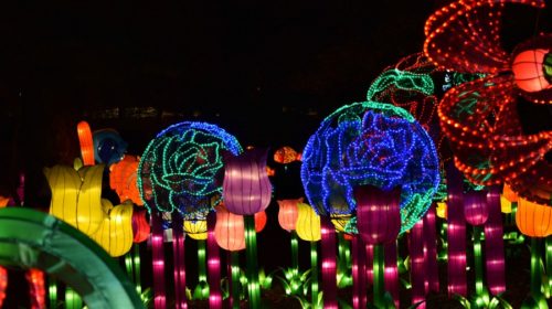Ohio Chinese Lantern Festival
