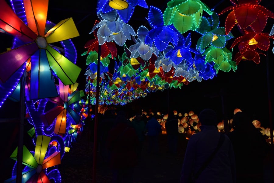 paper lanterns columbus ohio