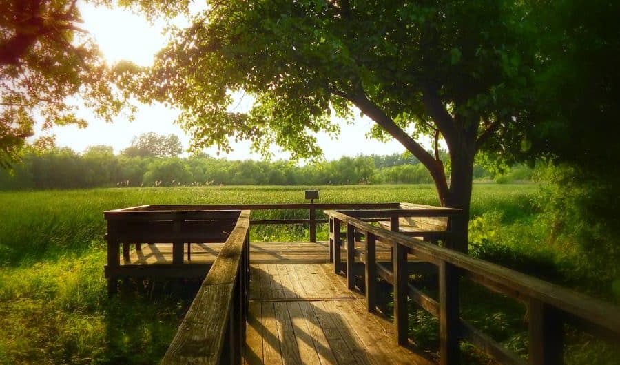 Easy Ways to Log Off and Reconnect with Nature 5 reconnect with nature - Off the beaten path Ohio