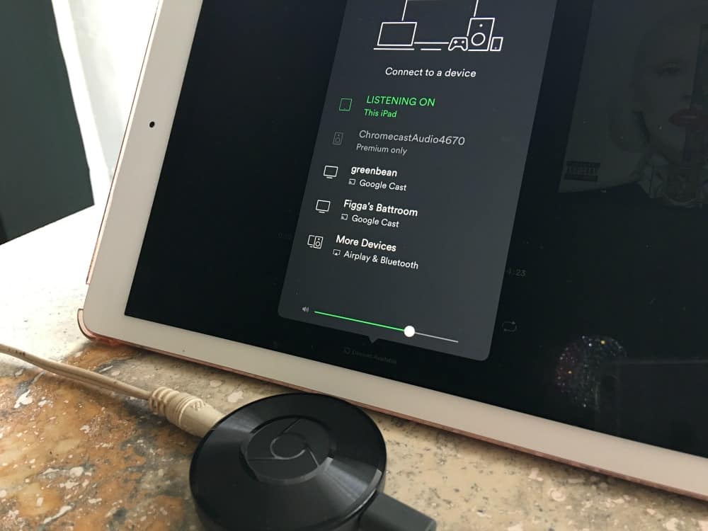 type smør Ensomhed How to Turn Old Speakers into New with Google Chromecast Audio - Sand and  Snow