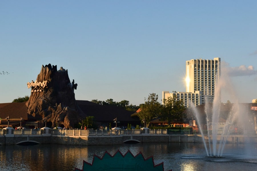 Rainforest Cafe Disney Springs