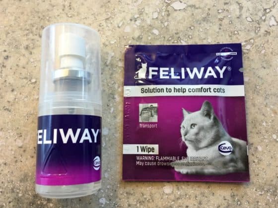 How the Ceva Cat Wellness Line Saved this Crazy Cat Lady's Sanity
