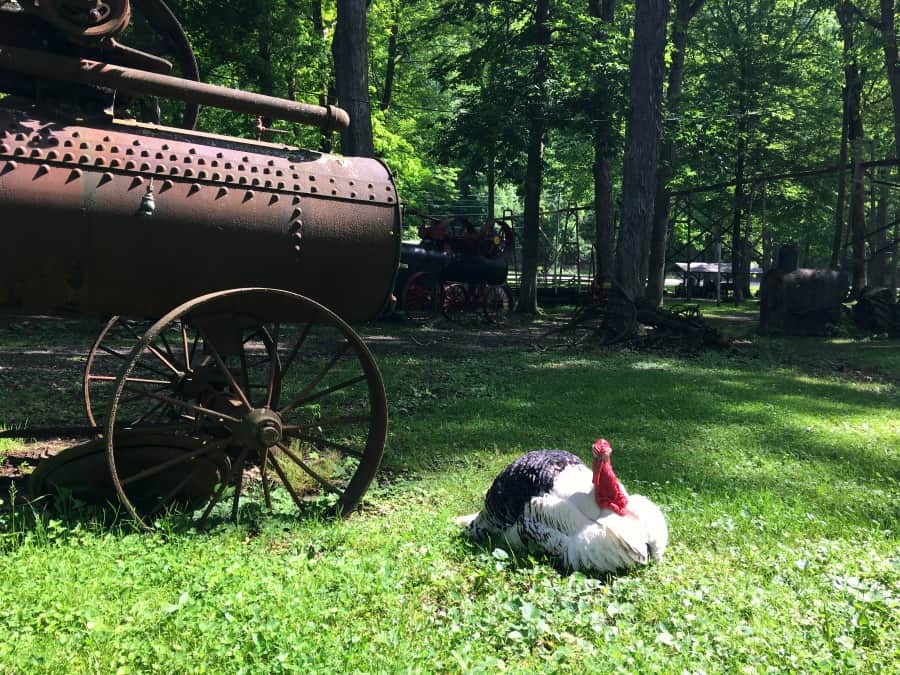 West Virginia Cool Springs Park antique tractor and turkey