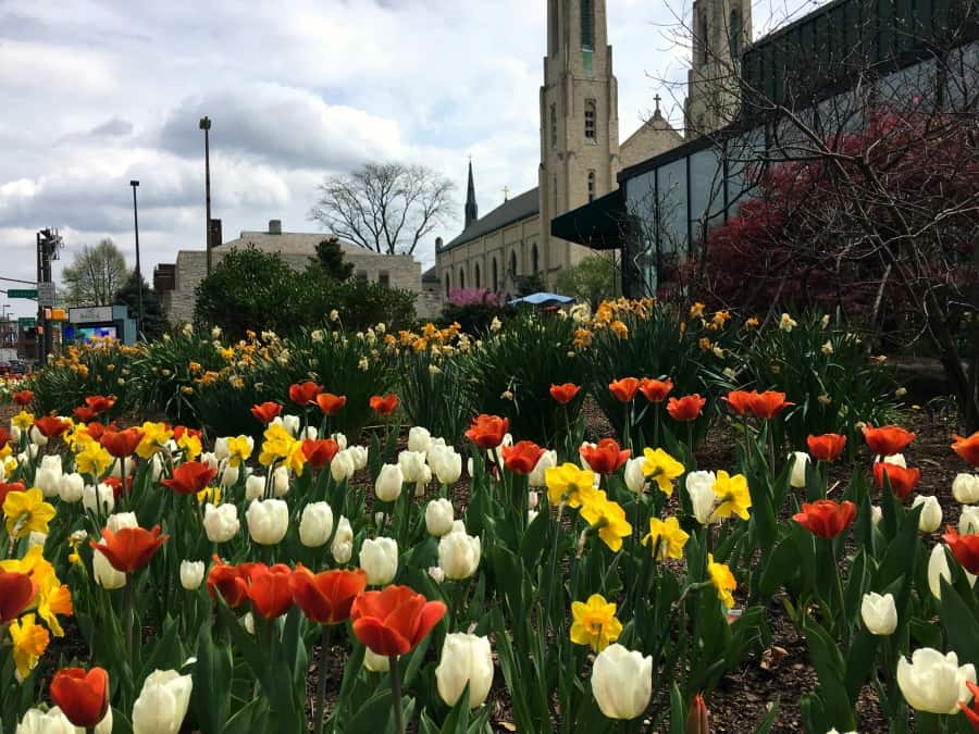 Downtown Fort Wayne, Indiana in spring.