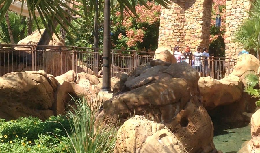 Hidden Mickey Magic Kingdom Steamboat Willie