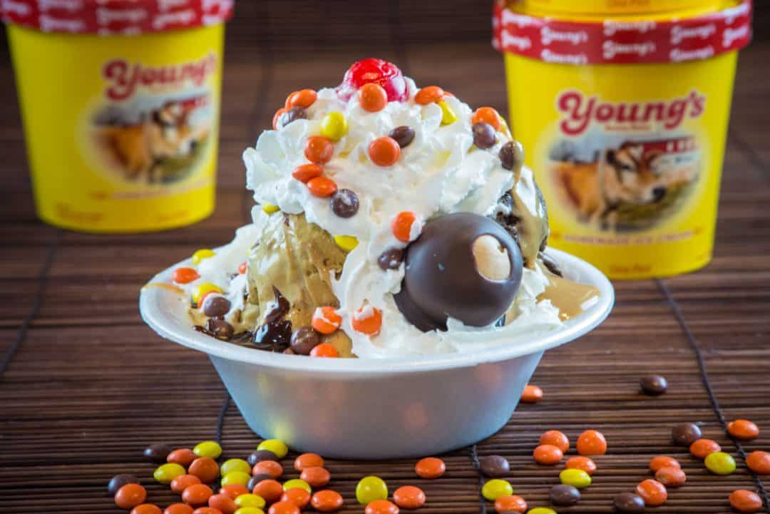 Young's Dairy Ice Cream