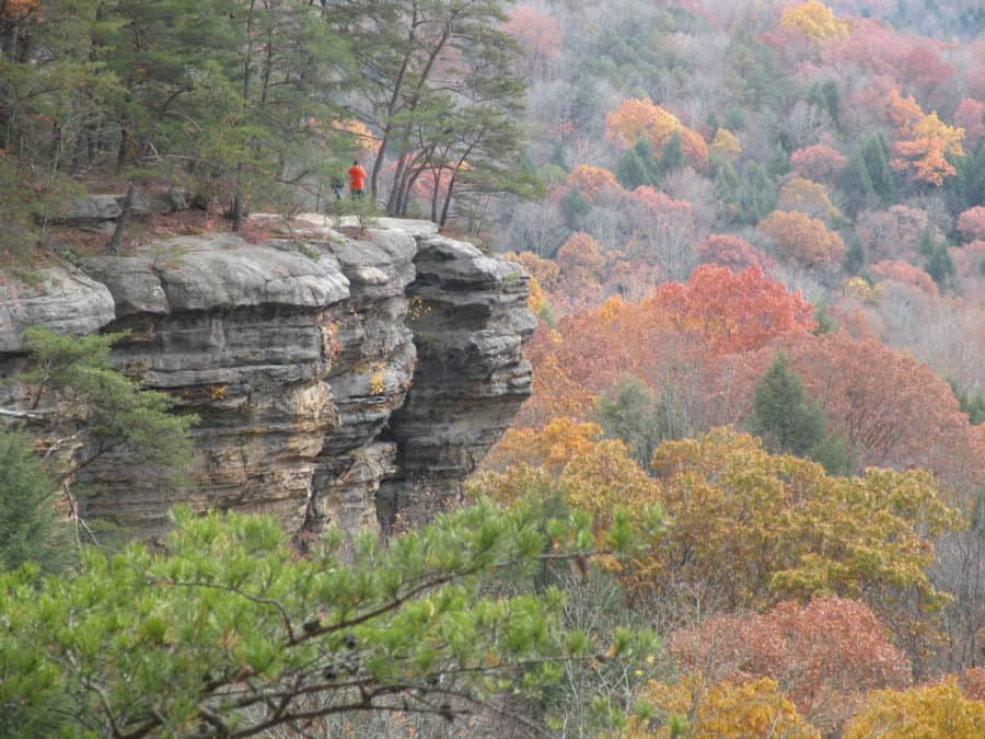 Conkles Hollow in Hocking Hills, Ohio. Photo Credit: Matt Lacey