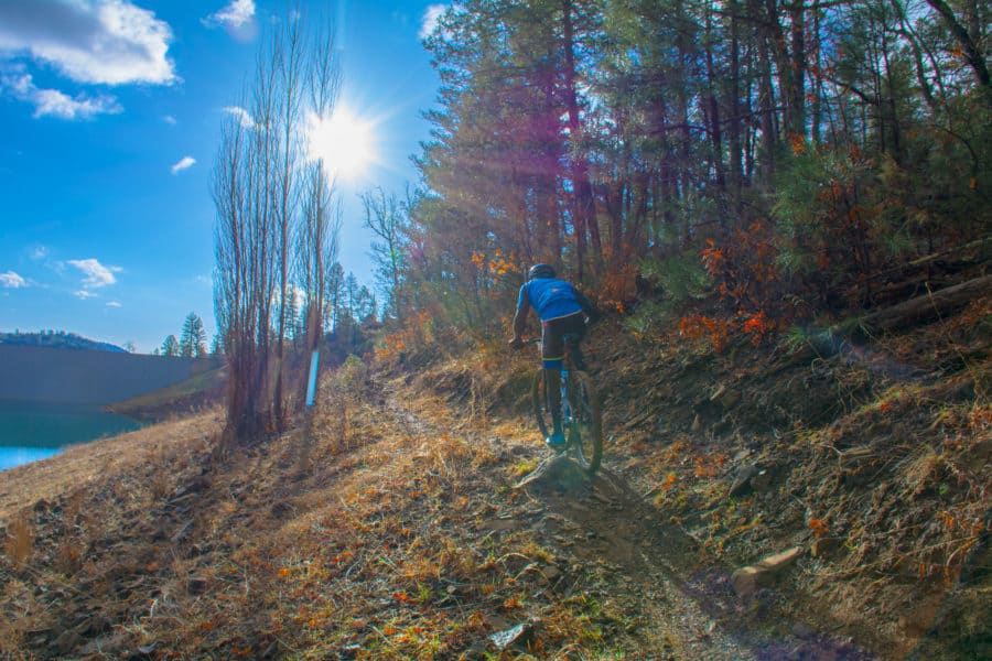 Mountain Bike Rear View in Ruidoso NM