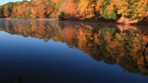 Rose Lake in Hocking Hills, Ohio. Photo Credit: Amy Weirick