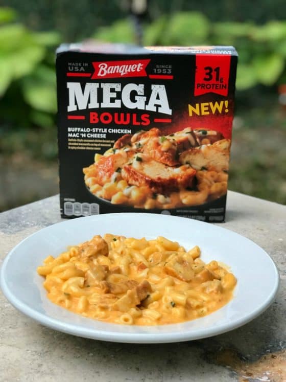 Do Banquet Mega Bowls Pass the "Hangry" Test? Sand and Snow